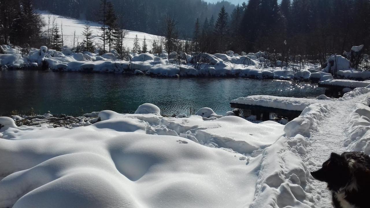 Apartma Kramar Podkoren Kranjska Gora Eksteriør billede